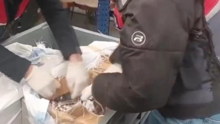 Sosyal medyadan uyuşturucu satanlara operasyon