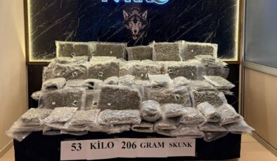TIR’da 53 kilo skunk bulundu