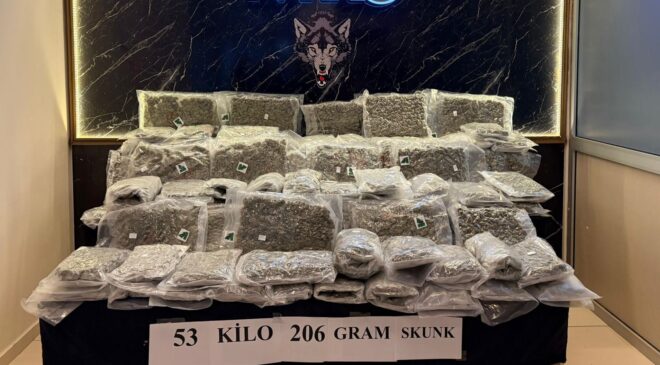 TIR’da 53 kilo skunk bulundu