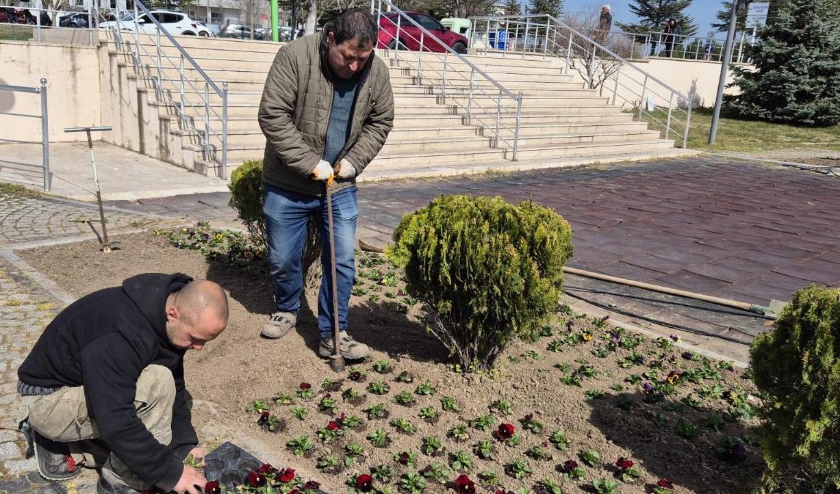 Trakya Üniversitesi çiçek açtı