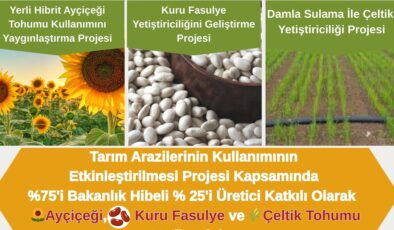 Üreticilere tohum desteği