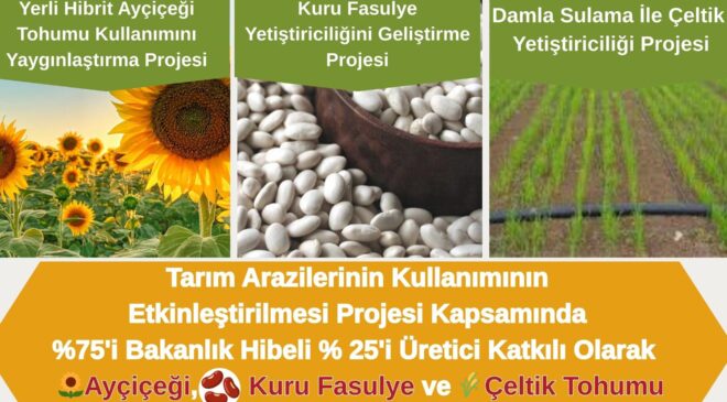 Üreticilere tohum desteği