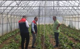 Korucu köyü merasında inceleme