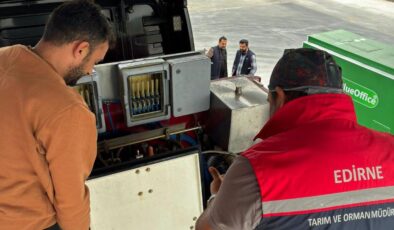 Arnavutluk’a yavru levrek ihracı