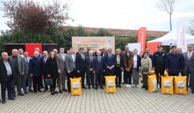 Ayçiçeğinde rekor verim bekleniyor