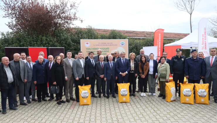 Ayçiçeğinde rekor verim bekleniyor