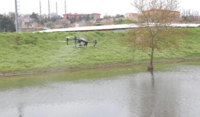 Belediyeden sivrisinekle mücadele