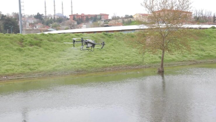 Belediyeden sivrisinekle mücadele