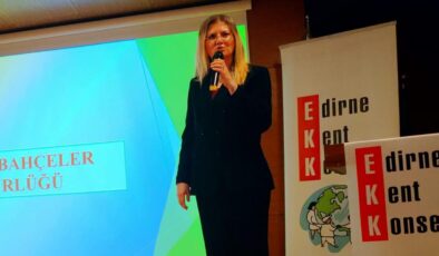 ‘Budamalar uzman kontrolünde yapıldı’