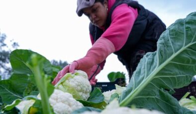 Destek ödemeleri bugün hesaplarda