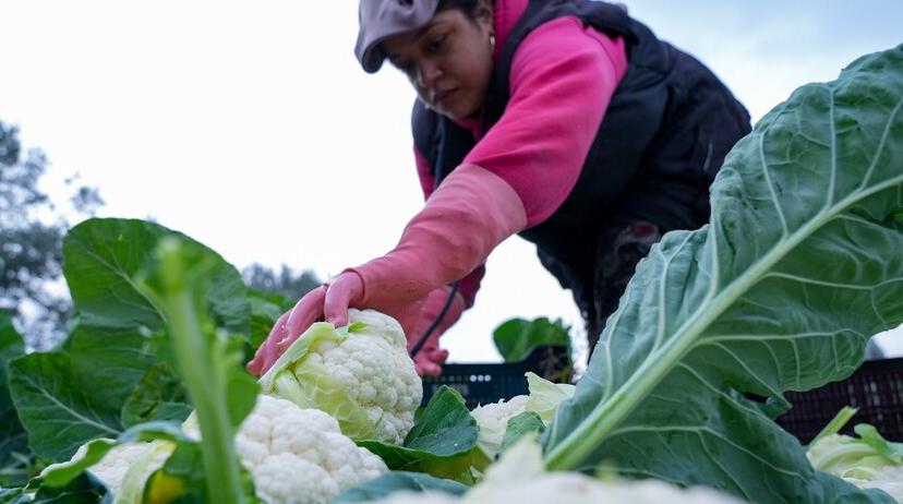 Destek ödemeleri bugün hesaplarda