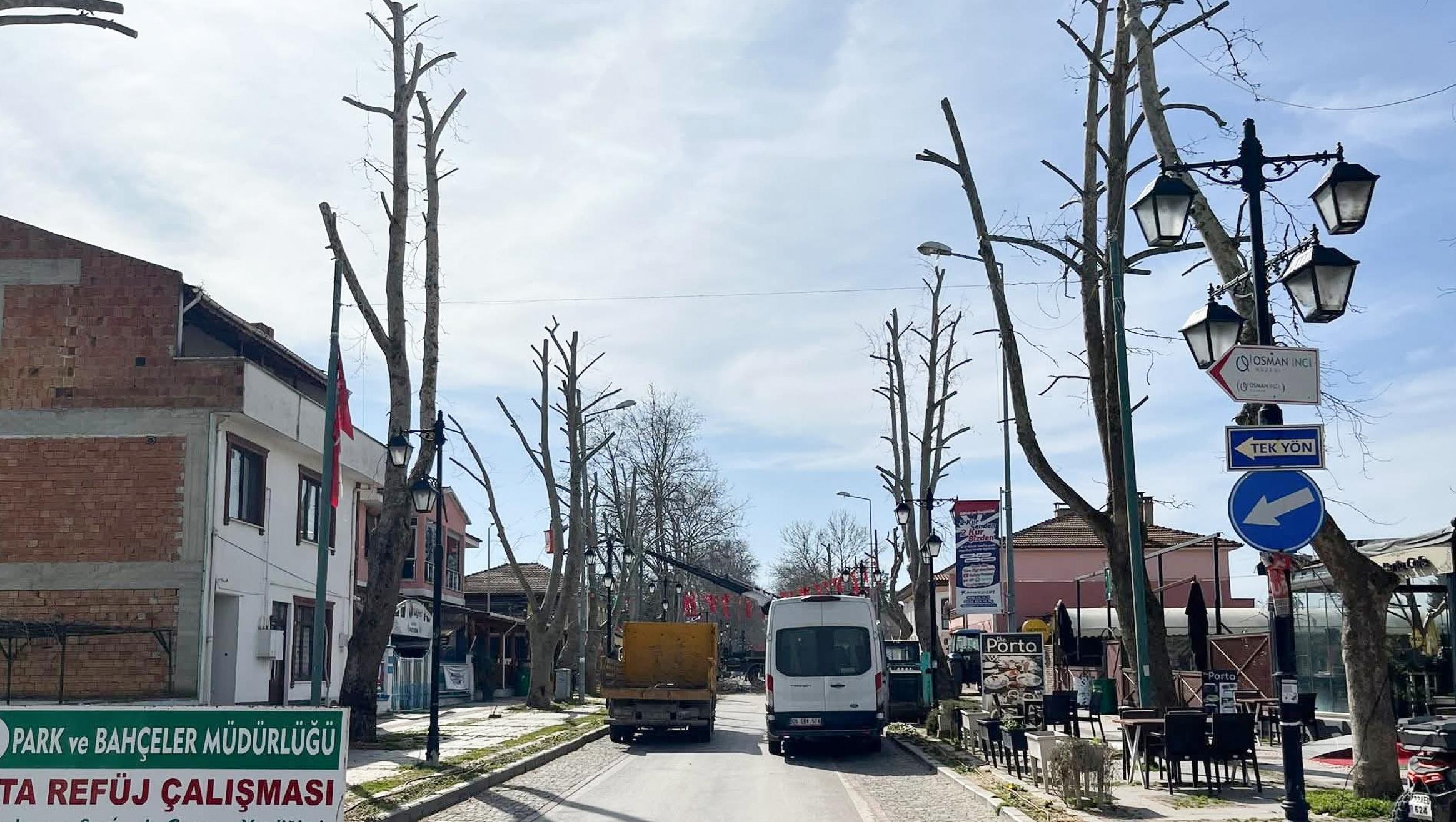 ‘Budamalar uzman kontrolünde yapıldı’