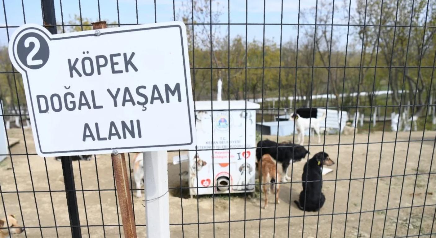 “Bu bir utanç günüdür”