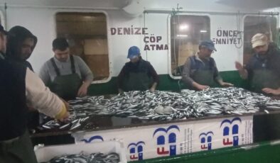 Enez’de 6 ton hamsi ve sardalya yakalandı