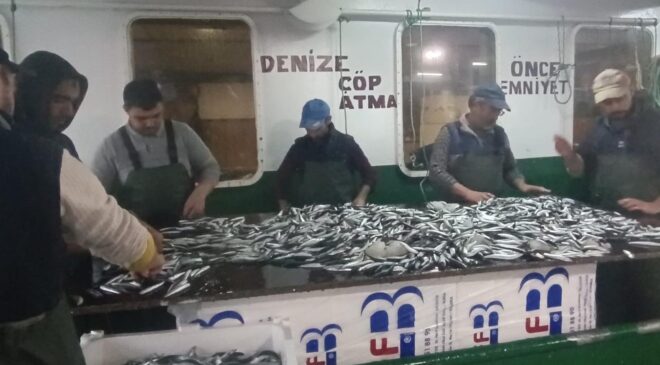 Enez’de 6 ton hamsi ve sardalya yakalandı