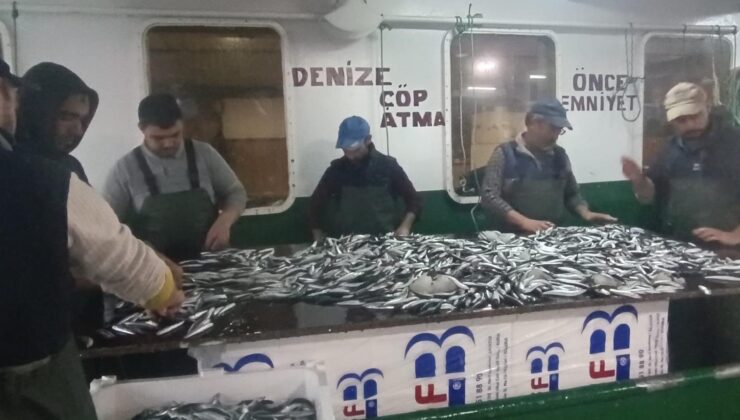 Enez’de 6 ton hamsi ve sardalya yakalandı