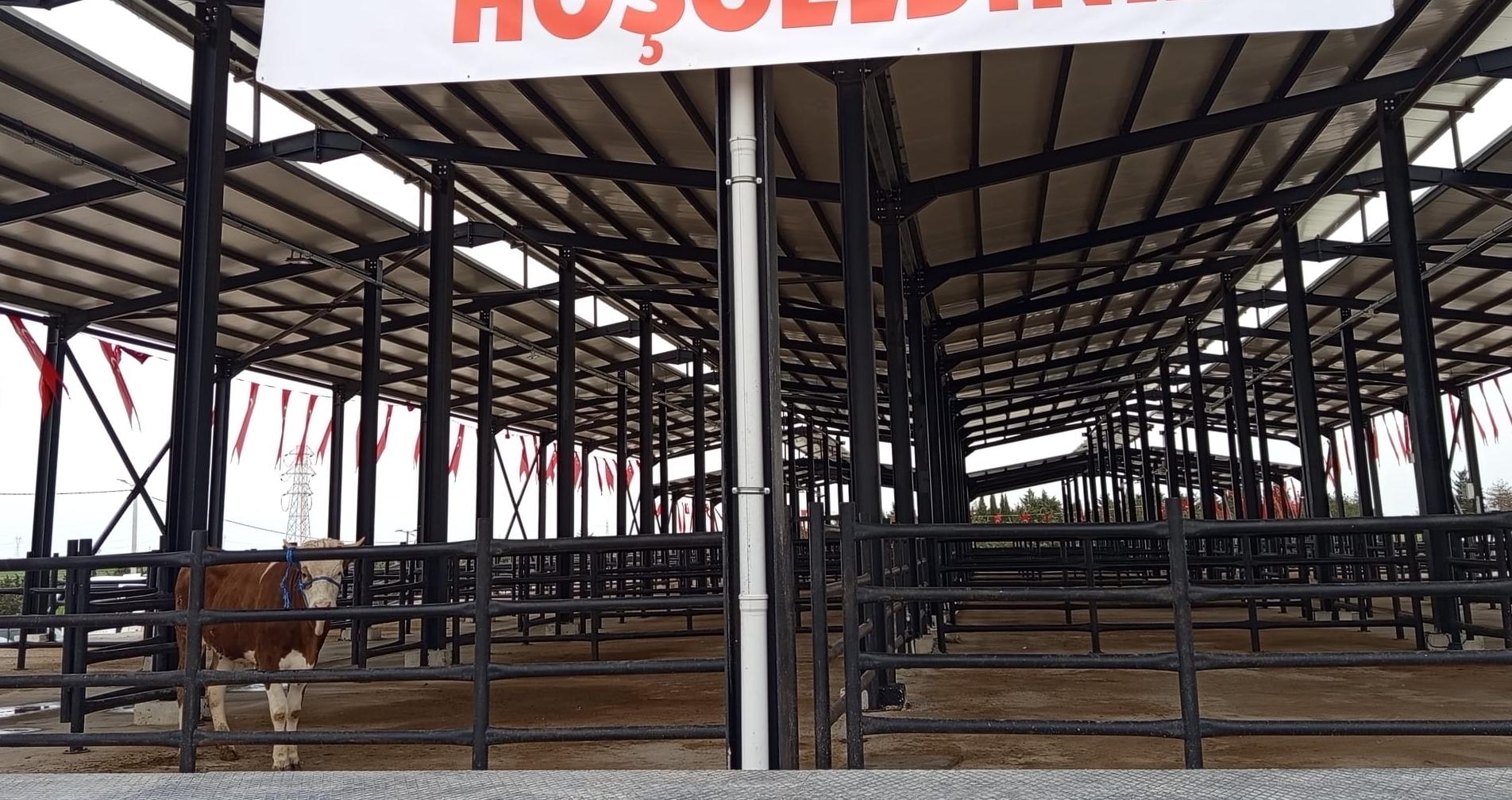 Havsa Hayvan Pazarı açıldı