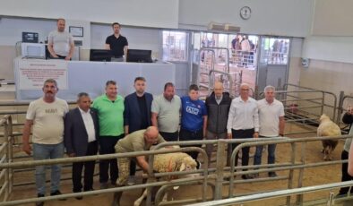 Koç ve Teke Mezatı yapılacak