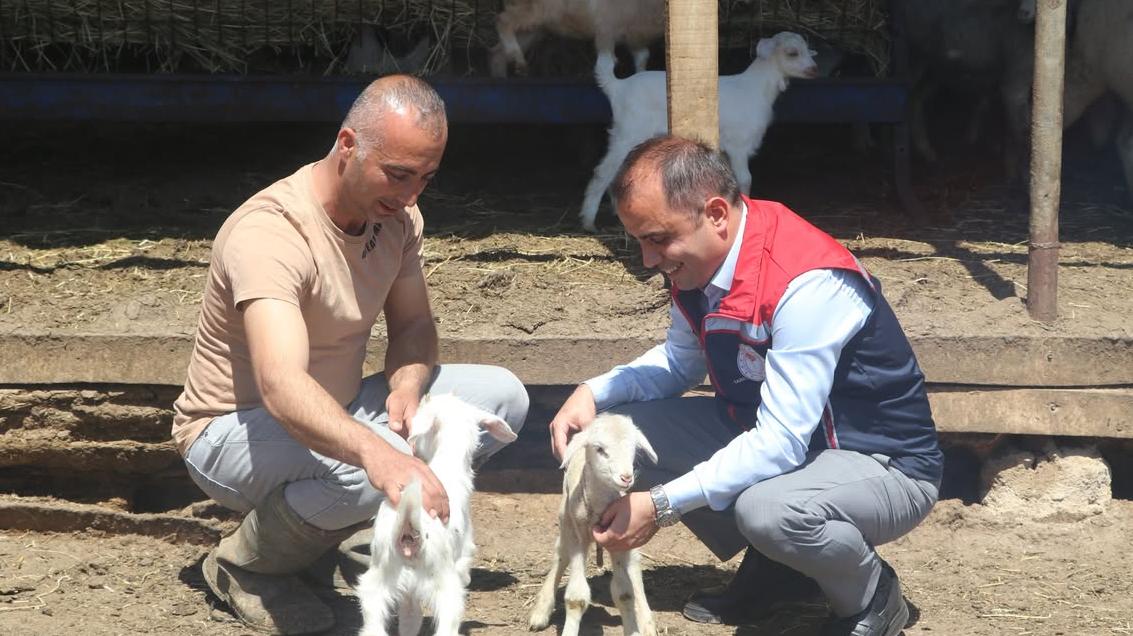 Korucu köyü merasında inceleme