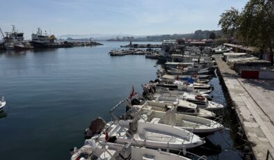 Balıkçılar istavrit ve sardalya avında