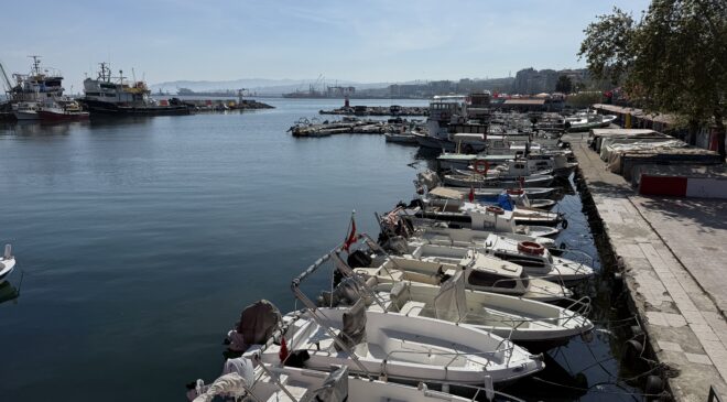 Balıkçılar istavrit ve sardalya avında