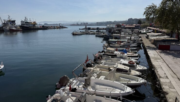 Balıkçılar istavrit ve sardalya avında