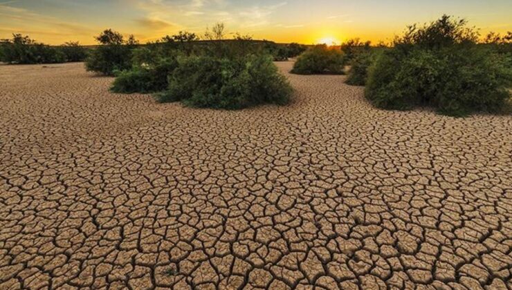 Kuraklık ve çölleşme riski artıyor
