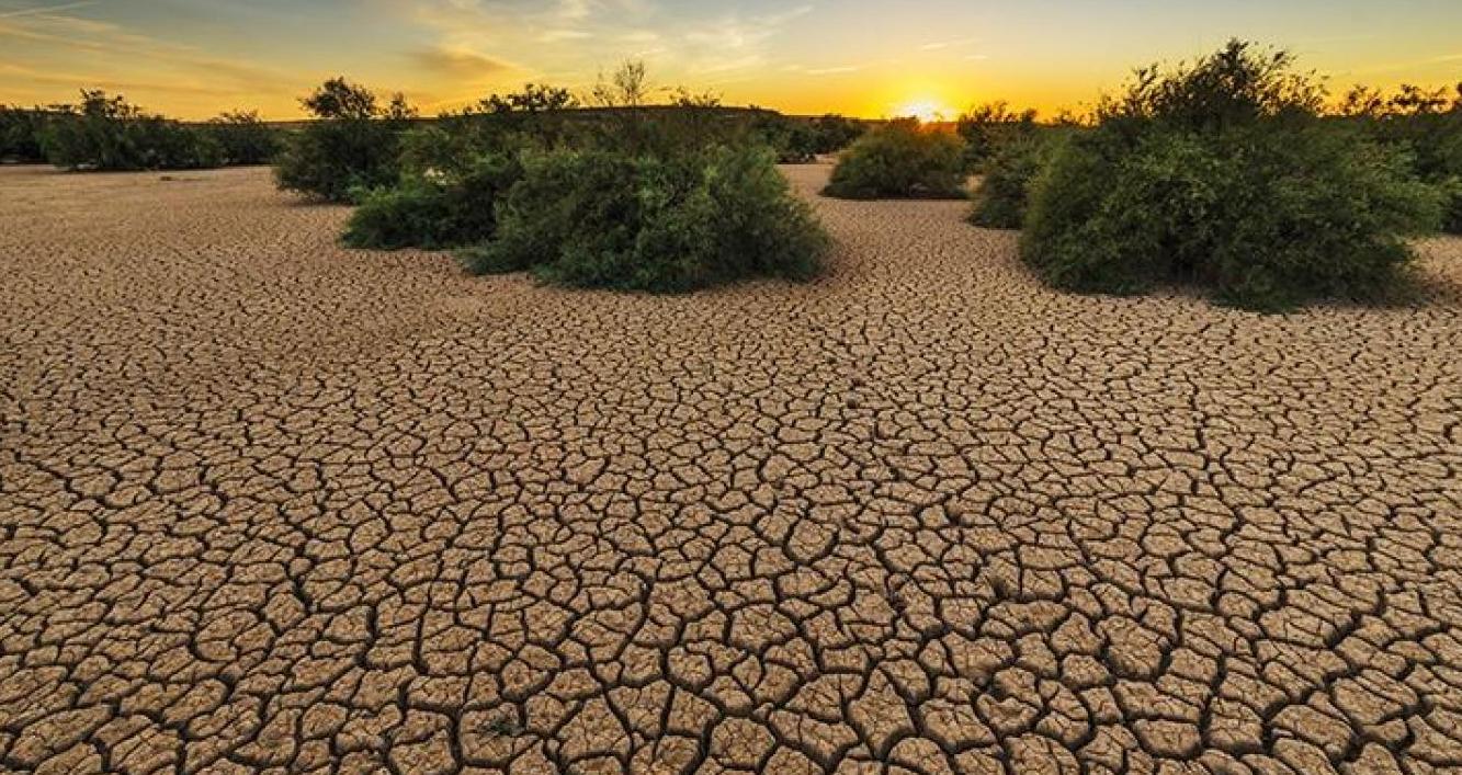 Kuraklık ve çölleşme riski artıyor