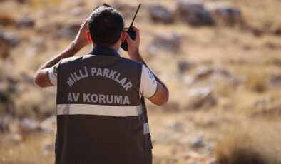 Milli Parklar uzmanlığında düzenleme