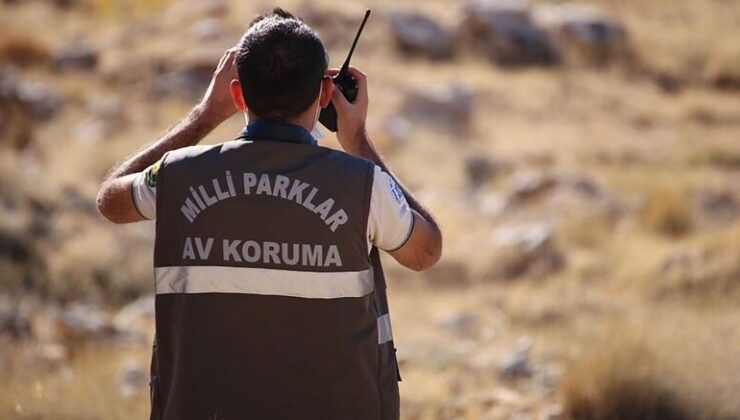 Milli Parklar uzmanlığında düzenleme