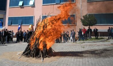 Nevruz kutlaması ertelendi
