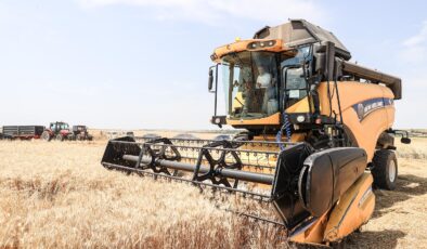 Buğday ve ayçiçeği fiyatında yükseliş