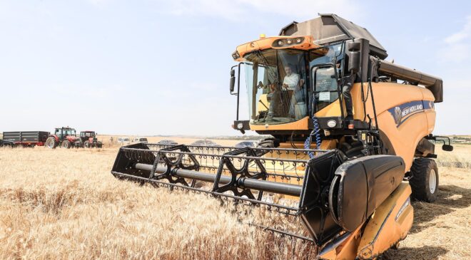 Buğday ve ayçiçeği fiyatında yükseliş