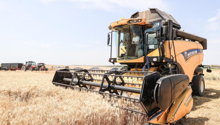 Buğday ve ayçiçeği fiyatında yükseliş