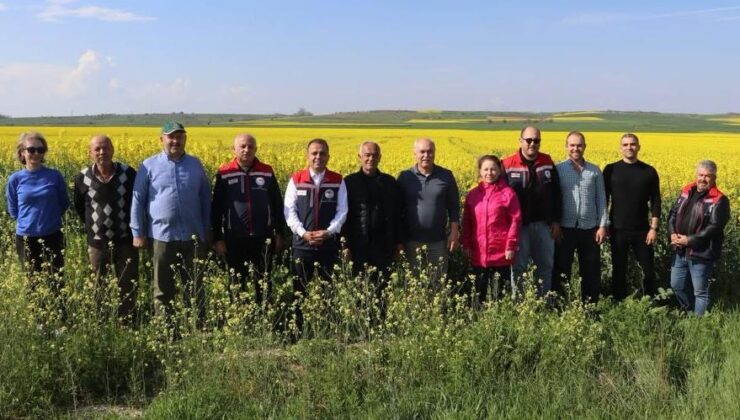 Köse’den sahada inceleme