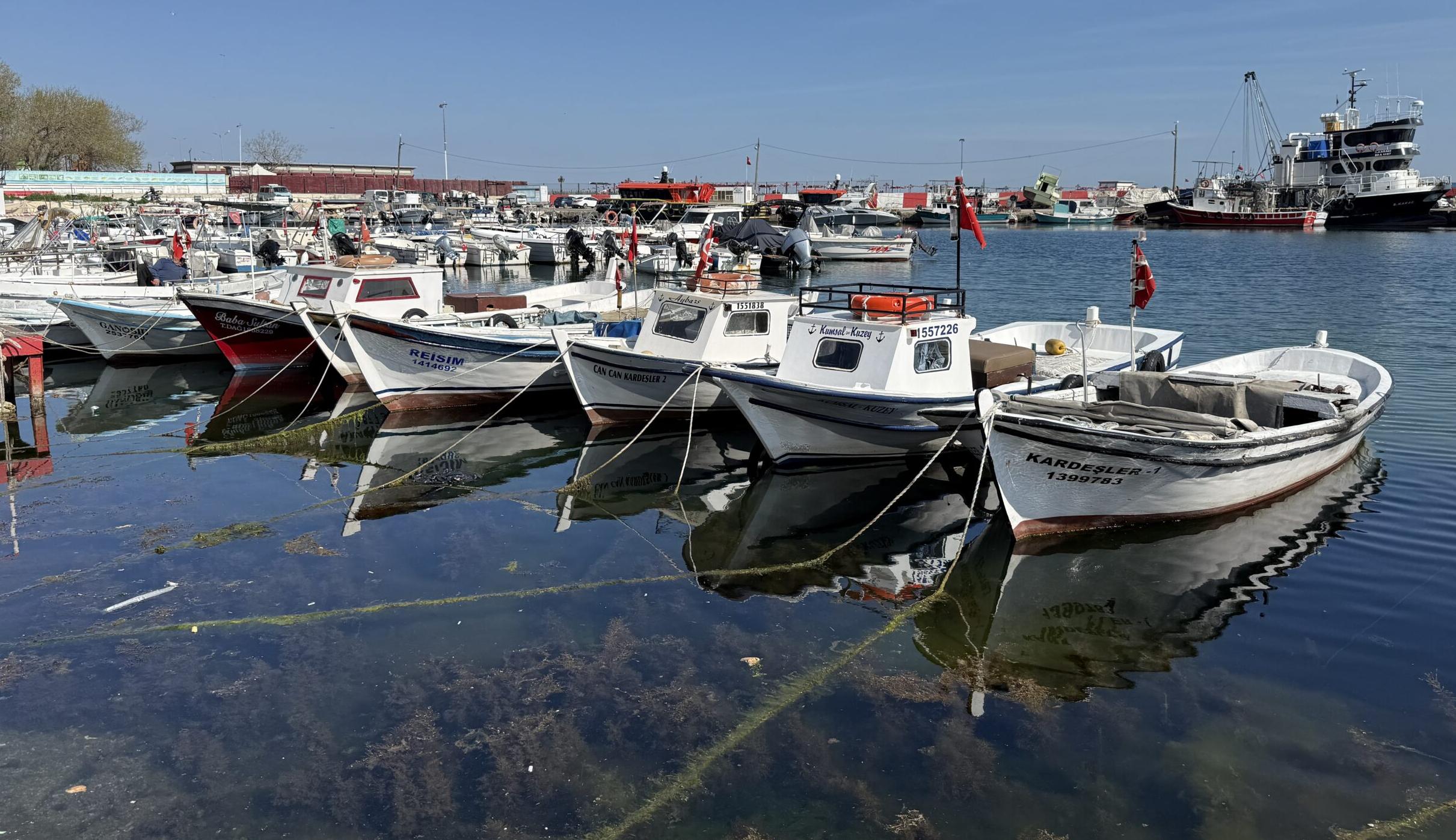 Balıkçılar istavrit ve sardalya avında