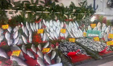 Hamsi’nin kilosu 300 lira