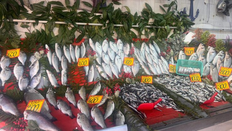 Hamsi’nin kilosu 300 lira