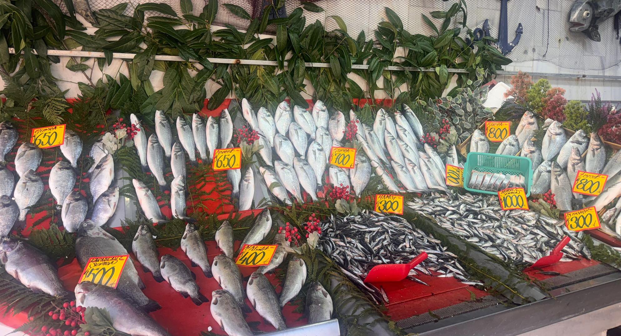 Hamsi’nin kilosu 300 lira