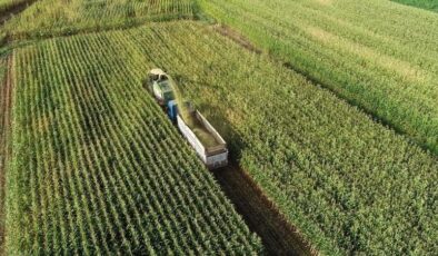 İzinsiz yapılar bir ayda yıkılacak