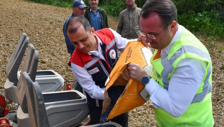Yerli hibrit tohumlar toprakla buluştu