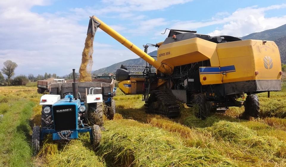 Pirinç ithalatında yüzde 376 artış!