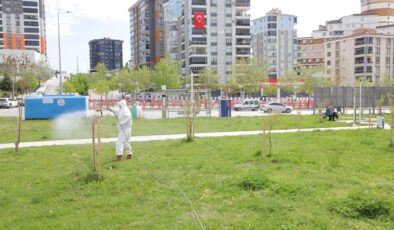 Belediyeden sivrisinek ilaçlaması