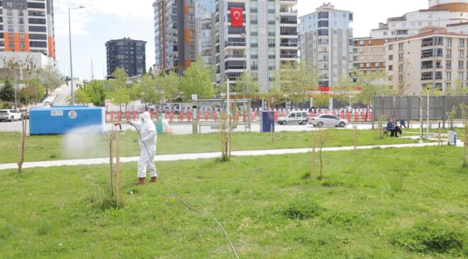 Belediyeden sivrisinek ilaçlaması