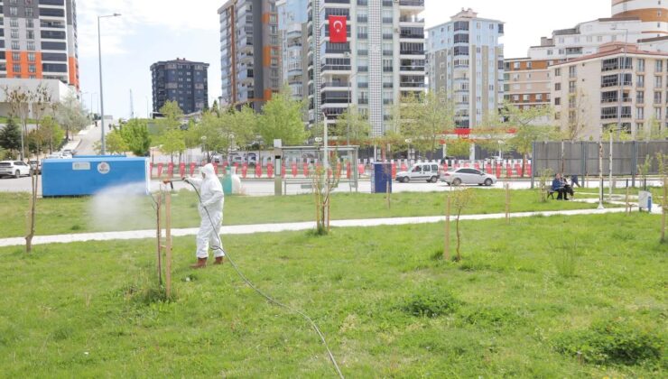 Belediyeden sivrisinek ilaçlaması