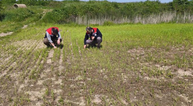 Tarım arazilerinde hasar tespiti