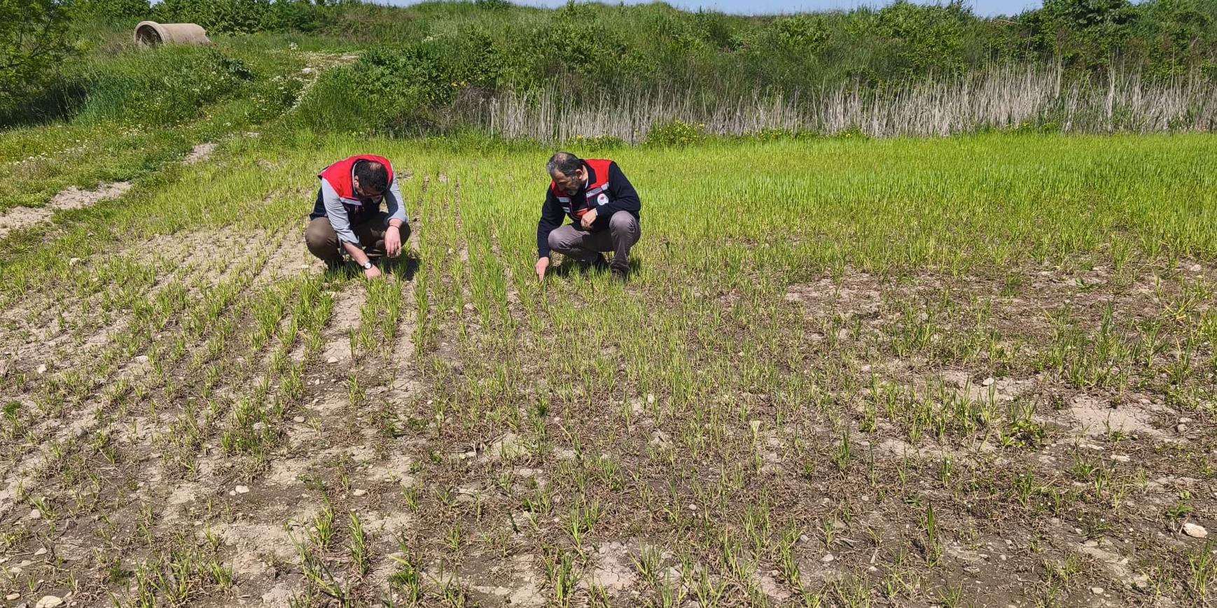 Tarım arazilerinde hasar tespiti