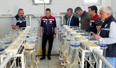 Su Ürünleri Üretim İstasyonu’nda inceleme