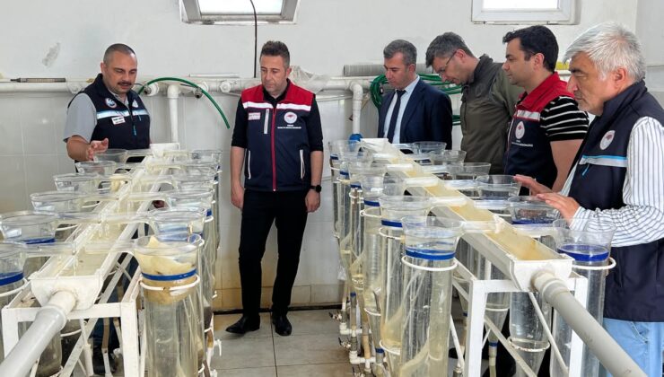 Su Ürünleri Üretim İstasyonu’nda inceleme