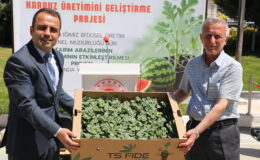 Çiftçilere karpuz fidesi dağıtıldı